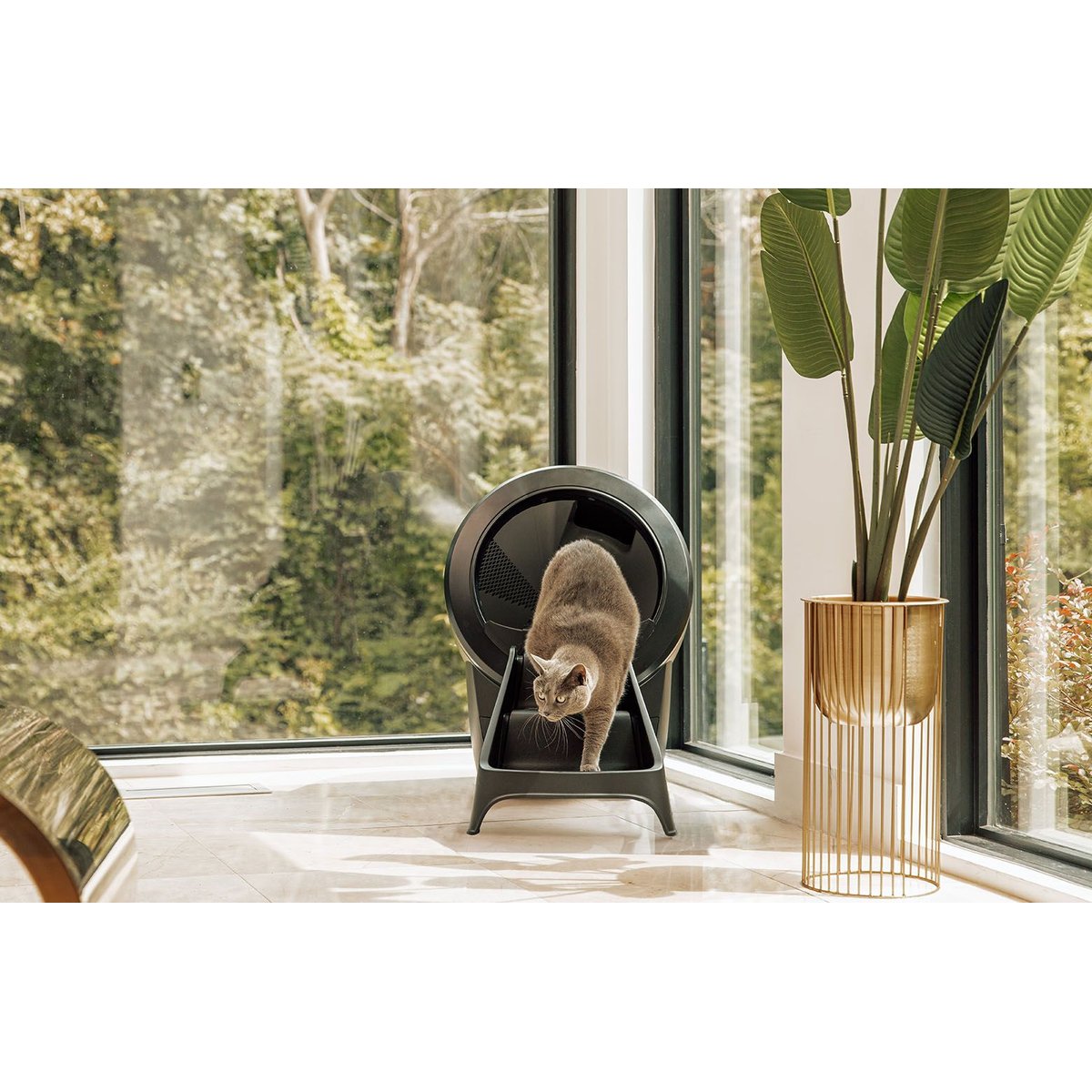 Whisker Litter-Robot 4 Cat Ramp, Black