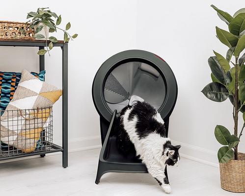 Show full view: Whisker Litter-Robot 4 Cat Ramp, Black slide 5 of 6