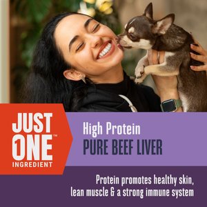Whole Life Just One Ingredient Pure Beef Liver Freeze-Dried Dog Treats, 18-oz bag