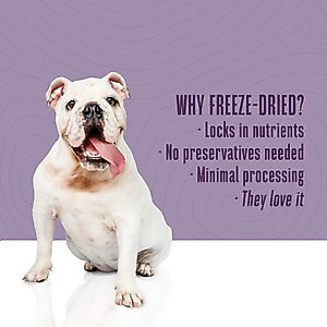 Whole Life Just One Ingredient Pure Beef Liver Freeze-Dried Dog Treats, 18-oz bag