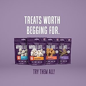 Whole Life Just One Ingredient Pure Beef Liver Freeze-Dried Dog Treats, 18-oz bag