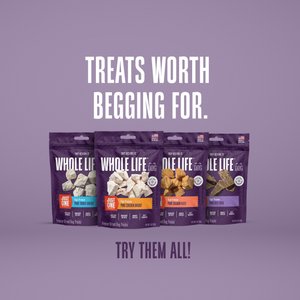 Whole Life Just One Ingredient Pure Beef Liver Freeze-Dried Dog Treats, 4-oz bag