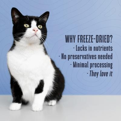 Show full view: Whole Life Just One Ingredient Pure Chicken Breast Freeze-Dried Cat Treats, 9-oz bag slide 6 of 13