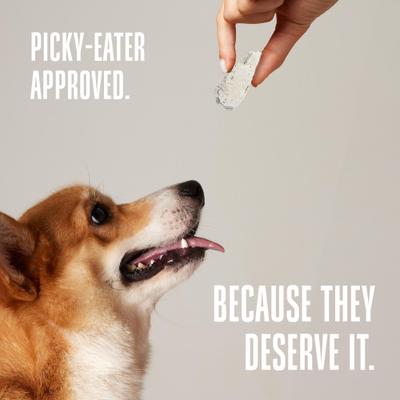 Show full view: Whole Life Just One Ingredient Pure Chicken Breast Freeze-Dried Dog & Cat Treats, 21-oz bag slide 8 of 12