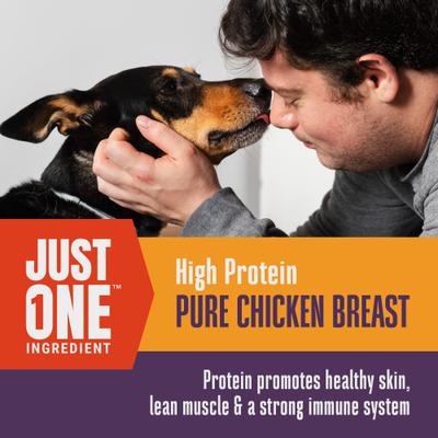 Show full view: Whole Life Just One Ingredient Pure Chicken Breast Freeze-Dried Dog & Cat Treats, 4-oz bag slide 5 of 12