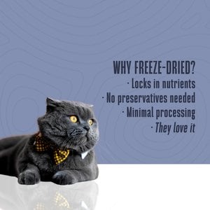 Whole Life Just One Ingredient Pure Salmon Fillet Grain-Free Freeze-Dried Cat Treats, 1-oz bag