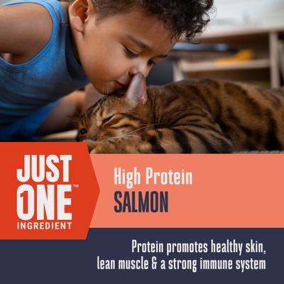 Show full view: Whole Life Just One Ingredient Pure Salmon Fillet Grain-Free Freeze-Dried Cat Treats, 2.5-oz bag slide 5 of 13