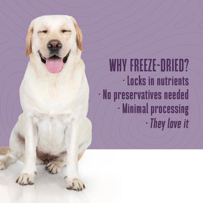 Show full view: Whole Life Just One Salmon Value Pack Freeze-Dried Dog & Cat Treats, 8-oz bag, case of 6 slide 6 of 11