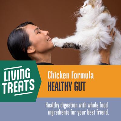 Show full view: Whole Life Living Treats Healthy Gut Chicken Flavor Freeze-Dried Cat Treats, 1.5-oz bag slide 5 of 13