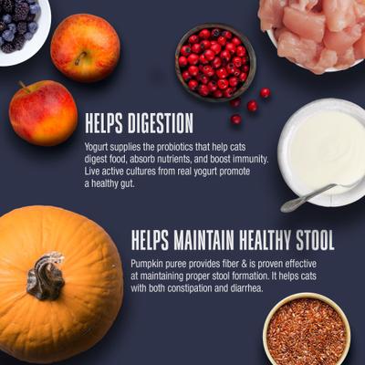 Show full view: Whole Life Living Treats Healthy Gut Chicken Flavor Freeze-Dried Cat Treats, 1.5-oz bag slide 6 of 13