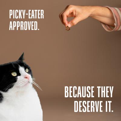 Show full view: Whole Life Living Treats Healthy Gut Chicken Flavor Freeze-Dried Cat Treats, 1.5-oz bag slide 9 of 13