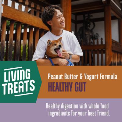 Show full view: Whole Life Living Treats Healthy Gut Peanut Butter Flavor Freeze-Dried Dog Treats, 12-oz bag slide 5 of 12