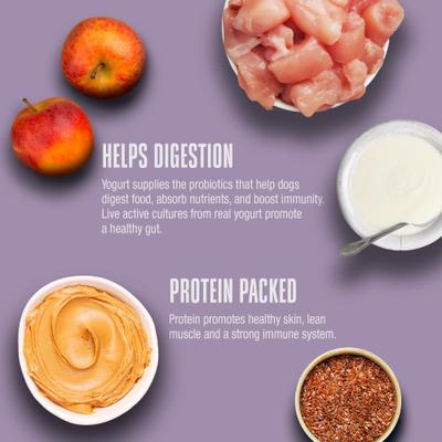 Show full view: Whole Life Living Treats Healthy Gut Peanut Butter Flavor Freeze-Dried Dog Treats, 12-oz bag slide 6 of 12