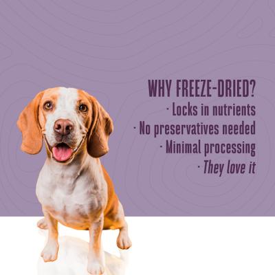 Show full view: Whole Life Living Treats Healthy Gut Peanut Butter Flavor Freeze-Dried Dog Treats, 3-oz bag slide 7 of 12