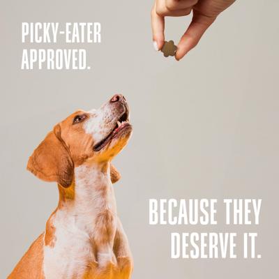 Show full view: Whole Life Living Treats Healthy Gut Peanut Butter Flavor Freeze-Dried Dog Treats, 3-oz bag slide 9 of 12