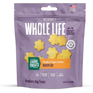 Whole Life Living Treats Healthy Gut Pumpkin Flavor Freeze-Dried Dog Treats, 12-oz bag