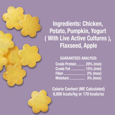 Show full view: Whole Life Living Treats Healthy Gut Pumpkin Flavor Freeze-Dried Dog Treats, 12-oz bag slide 3 of 12