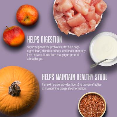 Show full view: Whole Life Living Treats Healthy Gut Pumpkin Flavor Freeze-Dried Dog Treats, 12-oz bag slide 6 of 12