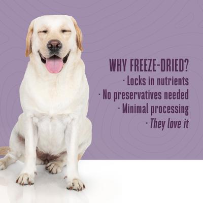 Show full view: Whole Life Living Treats Healthy Gut Pumpkin Flavor Freeze-Dried Dog Treats, 12-oz bag slide 7 of 12