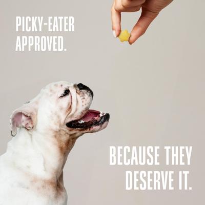 Show full view: Whole Life Living Treats Healthy Gut Pumpkin Flavor Freeze-Dried Dog Treats, 12-oz bag slide 9 of 12