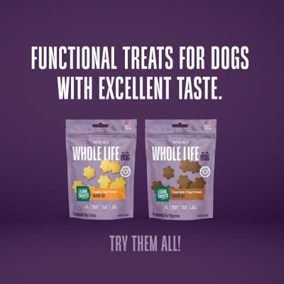 Show full view: Whole Life Living Treats Healthy Gut Pumpkin Flavor Freeze-Dried Dog Treats, 12-oz bag slide 10 of 12