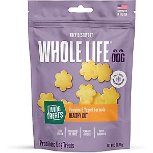 Whole Life Living Treats Healthy Gut Pumpkin Flavor Freeze-Dried Dog Treats, 3-oz bag