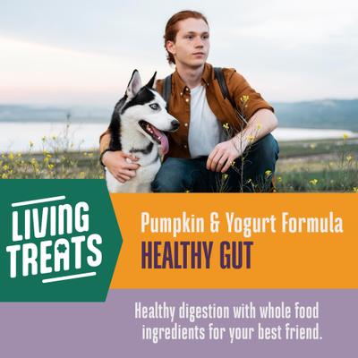 Show full view: Whole Life Living Treats Healthy Gut Pumpkin Flavor Freeze-Dried Dog Treats, 3-oz bag slide 5 of 12