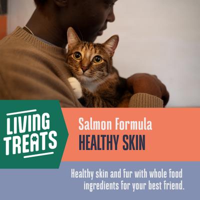 Show full view: Whole Life Living Treats Healthy Skin Salmon Flavor Freeze-Dried Cat Treats, 1-oz bag slide 5 of 13