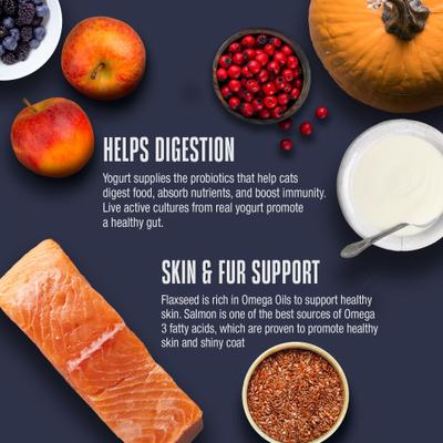 Show full view: Whole Life Living Treats Healthy Skin Salmon Flavor Freeze-Dried Cat Treats, 1-oz bag slide 6 of 13