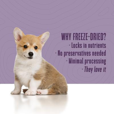 Show full view: Whole Life Mini One's Beef Liver Training Dehydrated Treats for Dogs, 6-oz bag slide 6 of 12