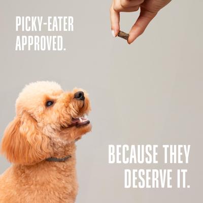 Show full view: Whole Life Mini One's Beef Liver Training Dehydrated Treats for Dogs, 6-oz bag slide 8 of 12