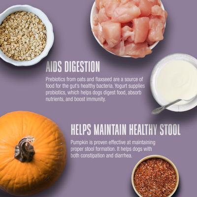 Show full view: Whole Life Nature's Remedy Digestive Health Support Whole Food Dog Supplement, 12-oz bag slide 6 of 12