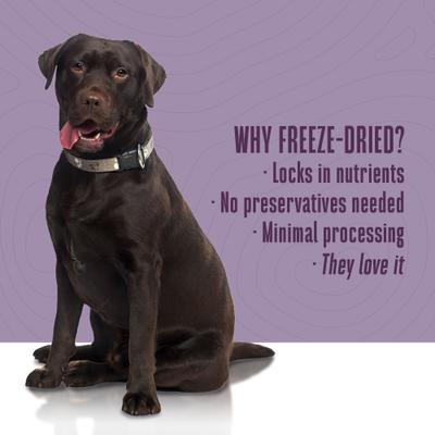 Show full view: Whole Life Nature's Remedy Digestive Health Support Whole Food Dog Supplement, 12-oz bag slide 7 of 12