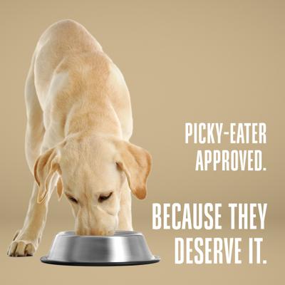 Show full view: Whole Life Nature's Remedy Digestive Health Support Whole Food Dog Supplement, 12-oz bag slide 9 of 12