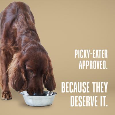 Show full view: Whole Life Nature's Remedy Skin & Allergy Support Whole Food Dog Supplement, 12-oz bag slide 9 of 12