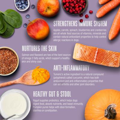 Show full view: Whole Life Nature's Remedy Whole Body Health Whole Freeze-Dried Dog Treats, 12-oz bag slide 6 of 12