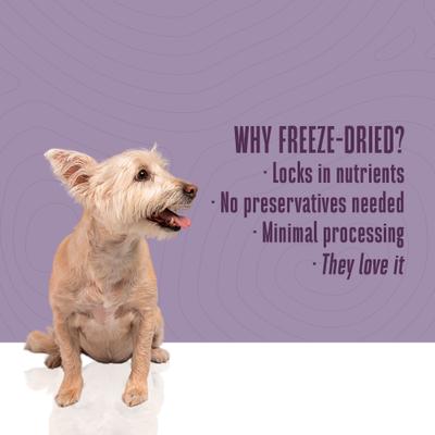 Show full view: Whole Life Nature's Remedy Whole Body Health Whole Freeze-Dried Dog Treats, 12-oz bag slide 7 of 12