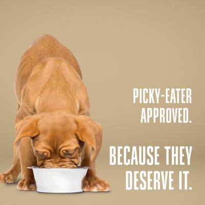 Show full view: Whole Life Nature's Remedy Whole Body Health Whole Freeze-Dried Dog Treats, 12-oz bag slide 9 of 12