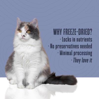 Show full view: Whole Life Pet Just One Tuna Cat Treat, 3-oz bag slide 6 of 12