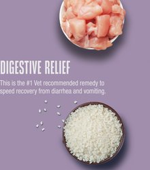 Whole Life Recover Chicken & Rice Dog Freeze-Dried Treats, 16-oz bag slide 2 of 9