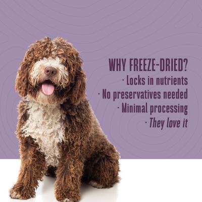 Show full view: Whole Life Recover Chicken & Rice Dog Freeze-Dried Treats, 16-oz bag slide 7 of 12