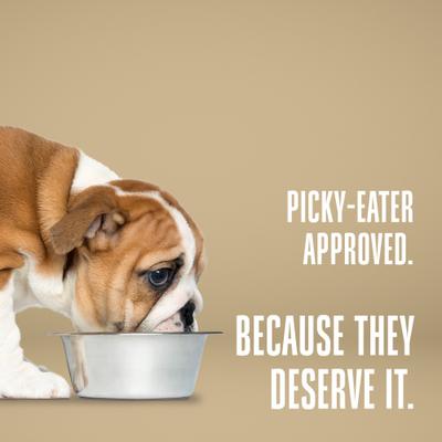 Show full view: Whole Life Recover Chicken & Rice Dog Freeze-Dried Treats, 16-oz bag slide 9 of 12