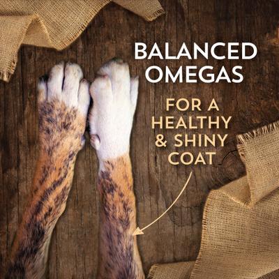 Show full view: Wholesomes Adult Bison Meal & Rice Dry Dog Food, 35-lb bag slide 7 of 10