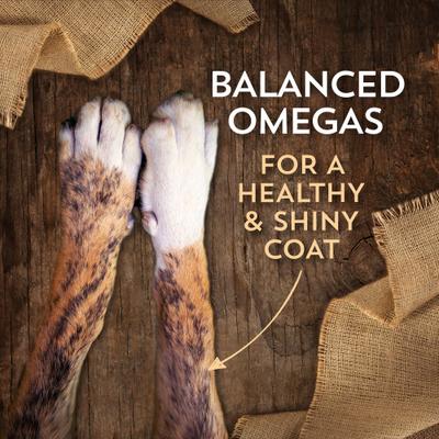 Show full view: Wholesomes Adult Grain-Free Lamb & Potatoes Dry Dog Food, 35-lb bag slide 6 of 11