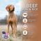 Show in main carousel: Wholesomes Beef Meal & Rice Formula Dry Dog Food, 40-lb bag slide 5 of 8