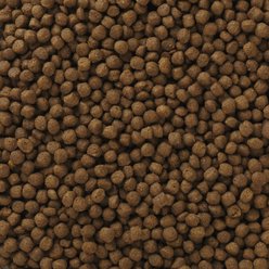 Wholesomes Chicken Meal & Rice Formula Adult Dry Cat Food, 30-lb bundle  slide 2 of 2