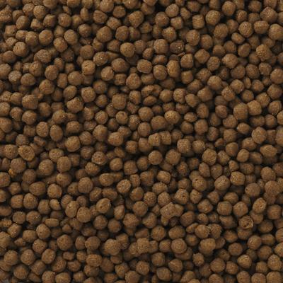 Show full view: Wholesomes Chicken Meal & Rice Formula Adult Dry Cat Food, 30-lb bundle  slide 3 of 4