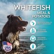 WHOLESOMES Grain Free Whitefish Meal Potatoes Formula Dry Dog Food