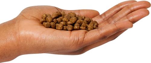 Show full view: Wholesomes High Energy 26/18 Dry Dog Food, 40-lb bag slide 4 of 4