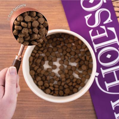 Show full view: Wholesomes with Lamb Meal & Rice Formula Dry Dog Food, 40-lb bag slide 4 of 10